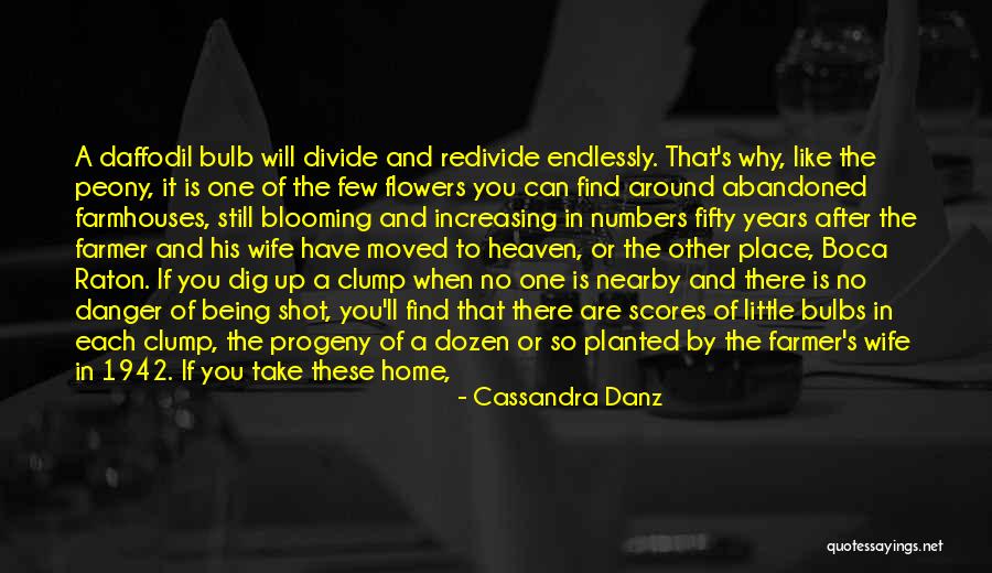 Dig To Find It Quotes By Cassandra Danz Dig To Find It Quotes By Cassandra Danz