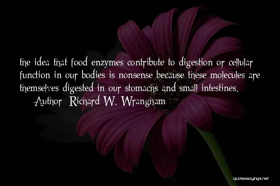 Digestion Quotes By Richard W. Wrangham