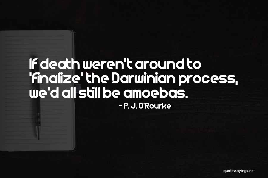 Digged Synonym Quotes By P. J. O'Rourke Digged Synonym Quotes By P. J. O'Rourke
