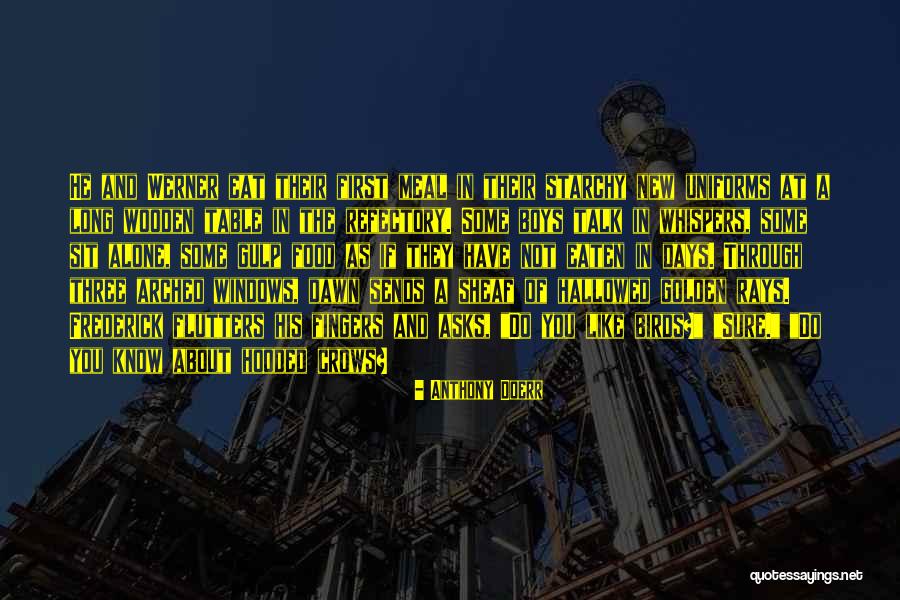 Diggers Tv Show Quotes By Anthony Doerr