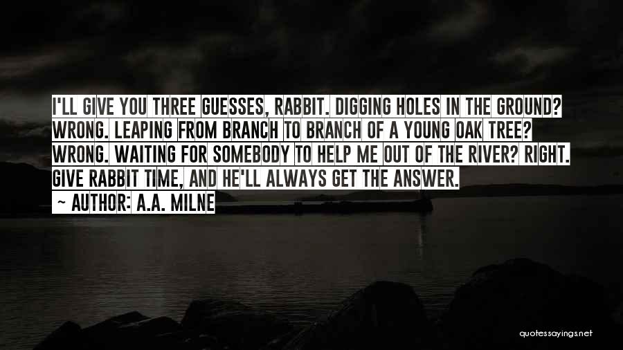 Digging Hole Quotes By A.A. Milne