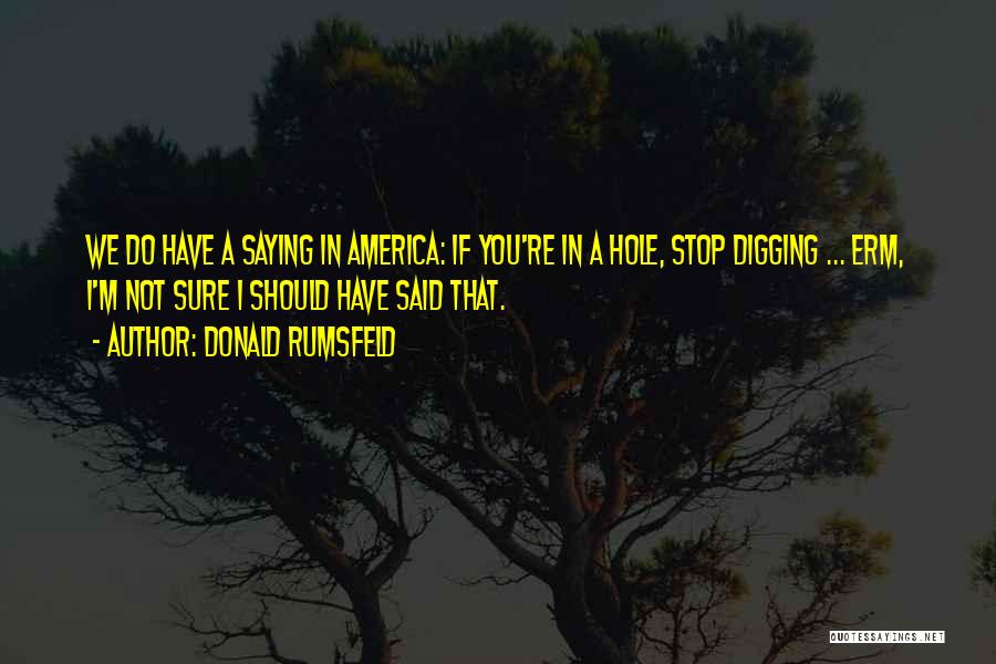 Digging Hole Quotes By Donald Rumsfeld