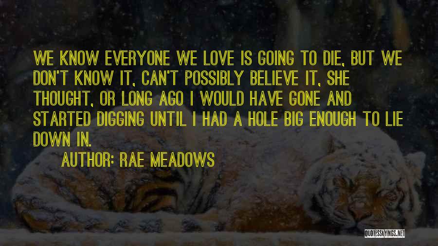 Digging Hole Quotes By Rae Meadows