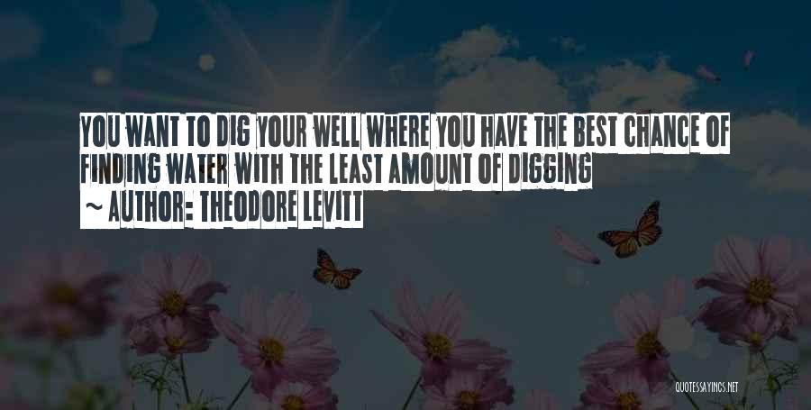 Digging Quotes By Theodore Levitt