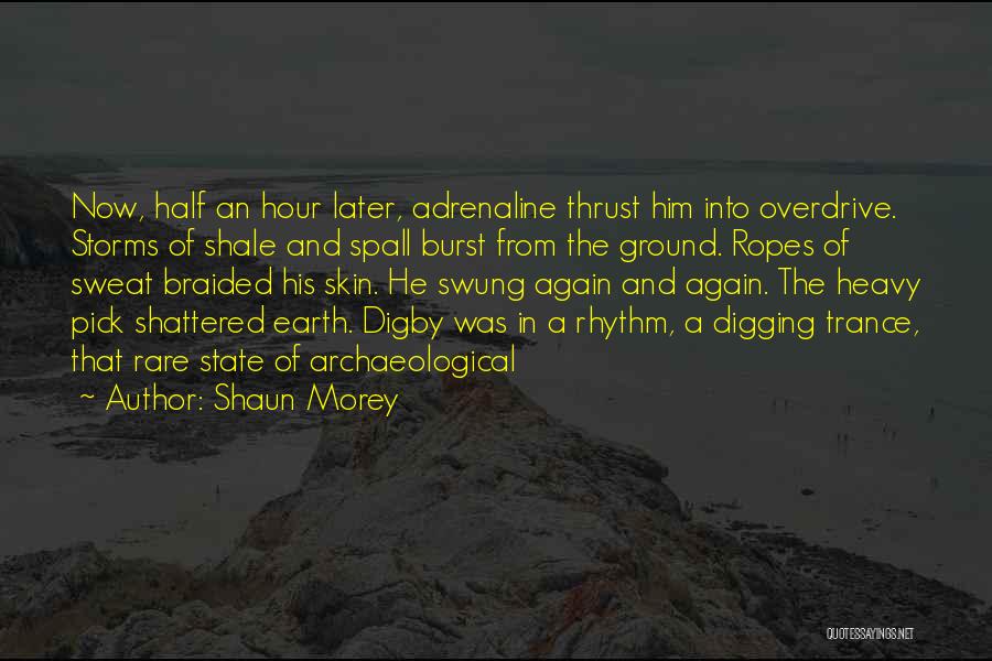 Digging The Past Quotes By Shaun Morey