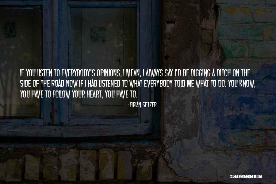 Digging Yourself In A Whole Quotes By Brian Setzer Digging Yourself In A Whole Quotes By Brian Setzer