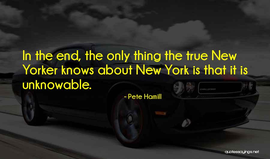 Digiovanna Family Care Quotes By Pete Hamill Digiovanna Family Care Quotes By Pete Hamill