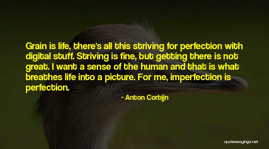 Digital Life Quotes By Anton Corbijn Digital Life Quotes By Anton Corbijn