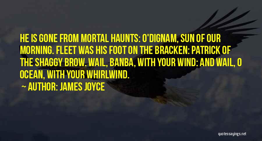 Dignam Quotes By James Joyce