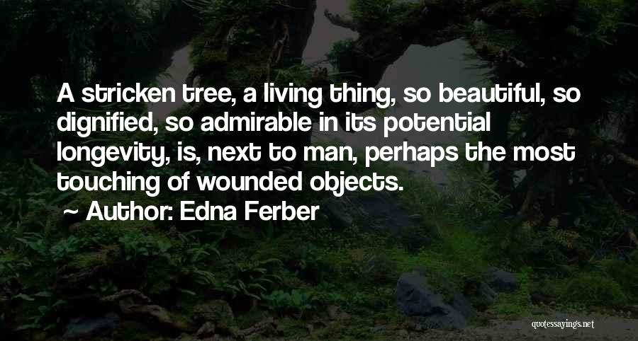 Dignified Man Quotes By Edna Ferber