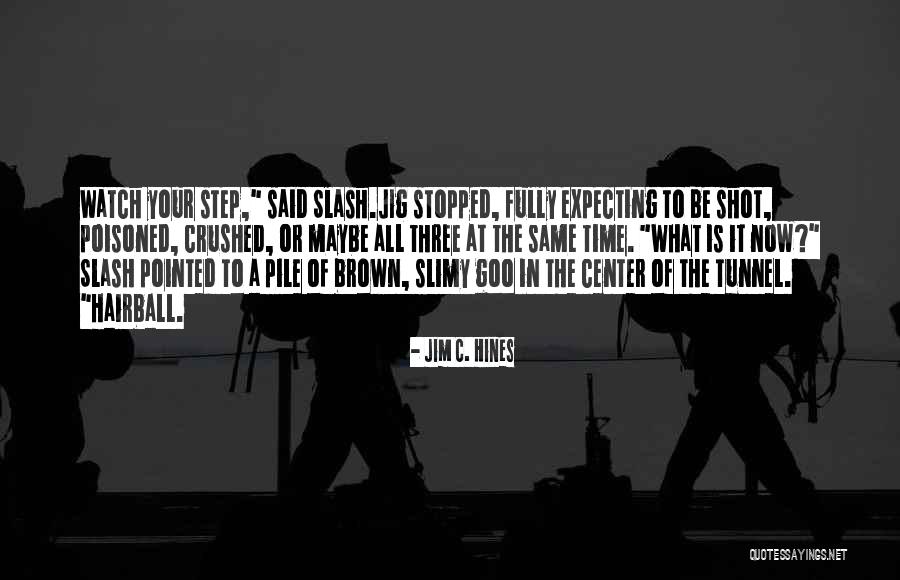 Dignitaries Attending Quotes By Jim C. Hines Dignitaries Attending Quotes By Jim C. Hines