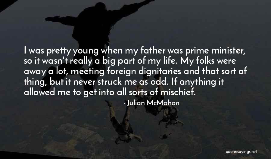 Dignitaries Quotes By Julian McMahon