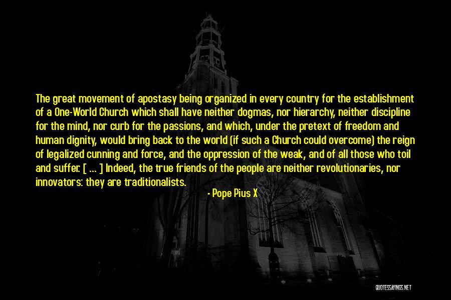 Dignity Of A Human Being Quotes By Pope Pius X