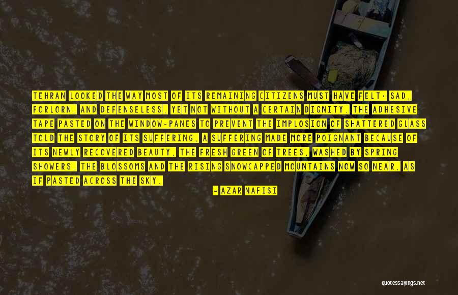 Dignity Of Citizens Quotes By Azar Nafisi Dignity Of Citizens Quotes By Azar Nafisi
