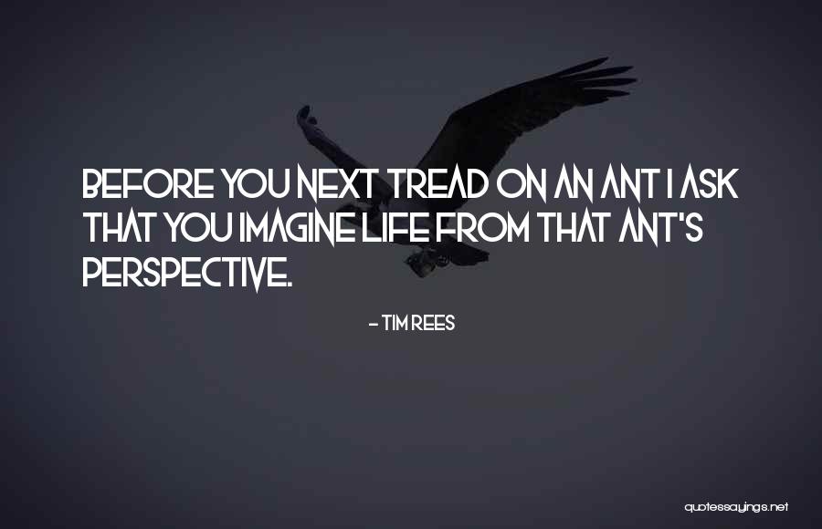 Digweed Transitions Quotes By Tim Rees Digweed Transitions Quotes By Tim Rees