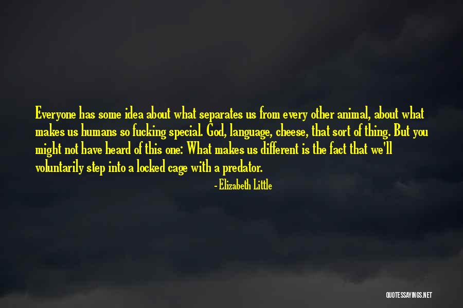 Diikuti Dengan Quotes By Elizabeth Little Diikuti Dengan Quotes By Elizabeth Little