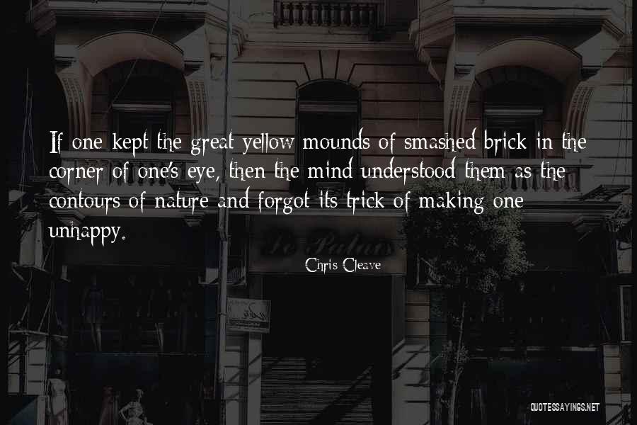 Diisinger Quotes By Chris Cleave Diisinger Quotes By Chris Cleave