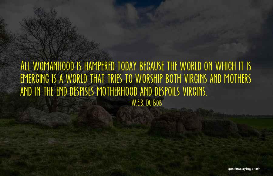 Dijana Jankovic Quotes By W.E.B. Du Bois Dijana Jankovic Quotes By W.E.B. Du Bois