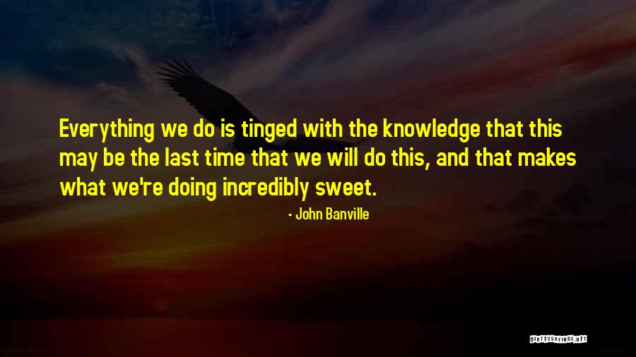 Dikkerboom Quotes By John Banville Dikkerboom Quotes By John Banville
