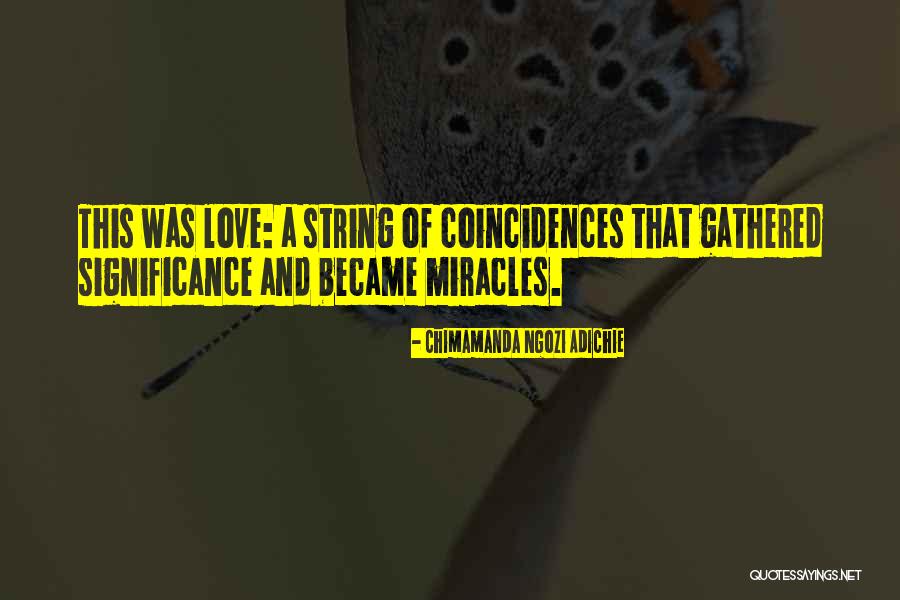 Dikokele Quotes By Chimamanda Ngozi Adichie Dikokele Quotes By Chimamanda Ngozi Adichie