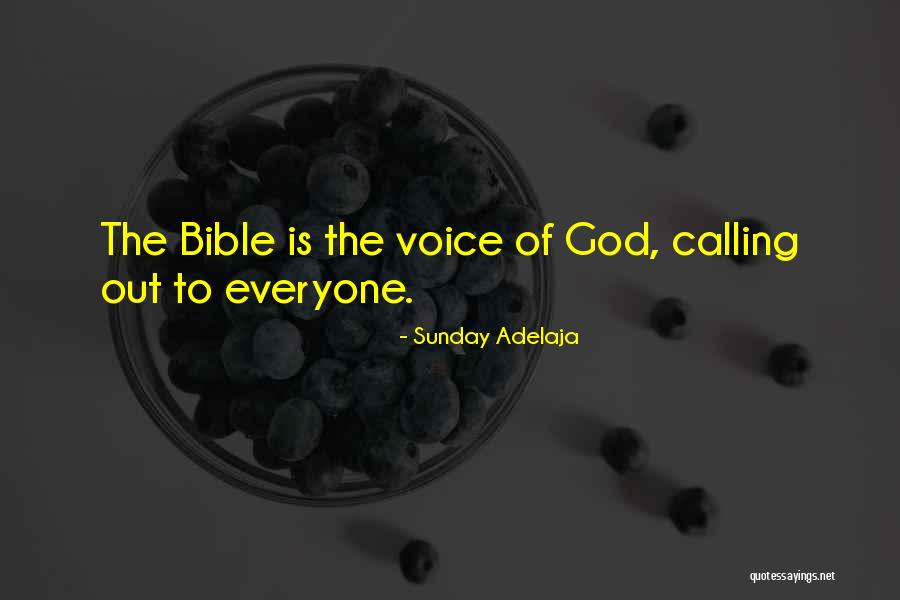 Dikte Mdf Quotes By Sunday Adelaja Dikte Mdf Quotes By Sunday Adelaja