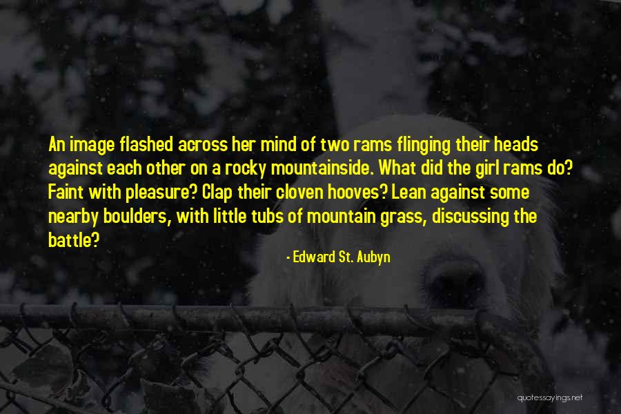 Dilaras Quotes By Edward St. Aubyn