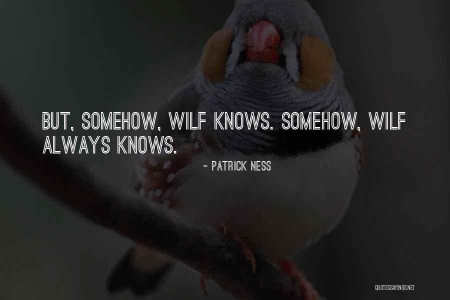 Dilaras Quotes By Patrick Ness
