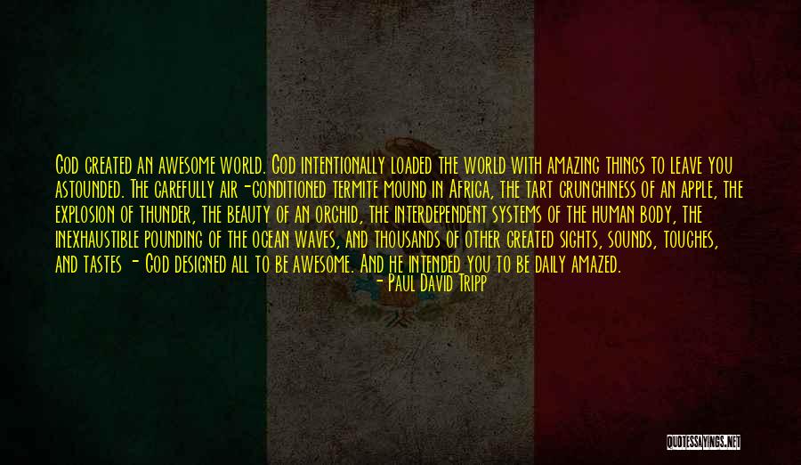 Dilaras Quotes By Paul David Tripp