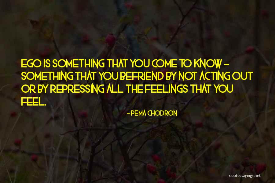 Dilatateurs Quotes By Pema Chodron Dilatateurs Quotes By Pema Chodron