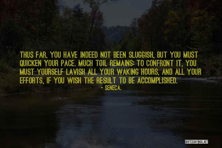 Dilated Pore Quotes By Seneca. Dilated Pore Quotes By Seneca.