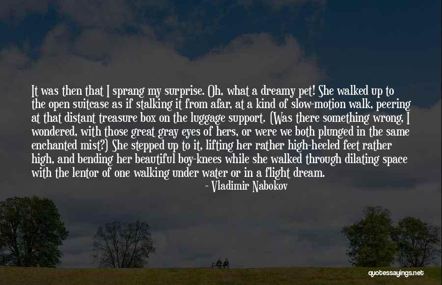 Dilating Eyes Quotes By Vladimir Nabokov Dilating Eyes Quotes By Vladimir Nabokov