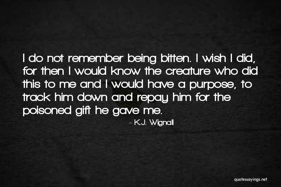 Dilaudid Pills Quotes By K.J. Wignall Dilaudid Pills Quotes By K.J. Wignall