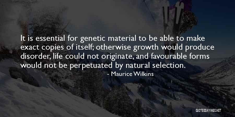 Dilaurentis Market Quotes By Maurice Wilkins Dilaurentis Market Quotes By Maurice Wilkins