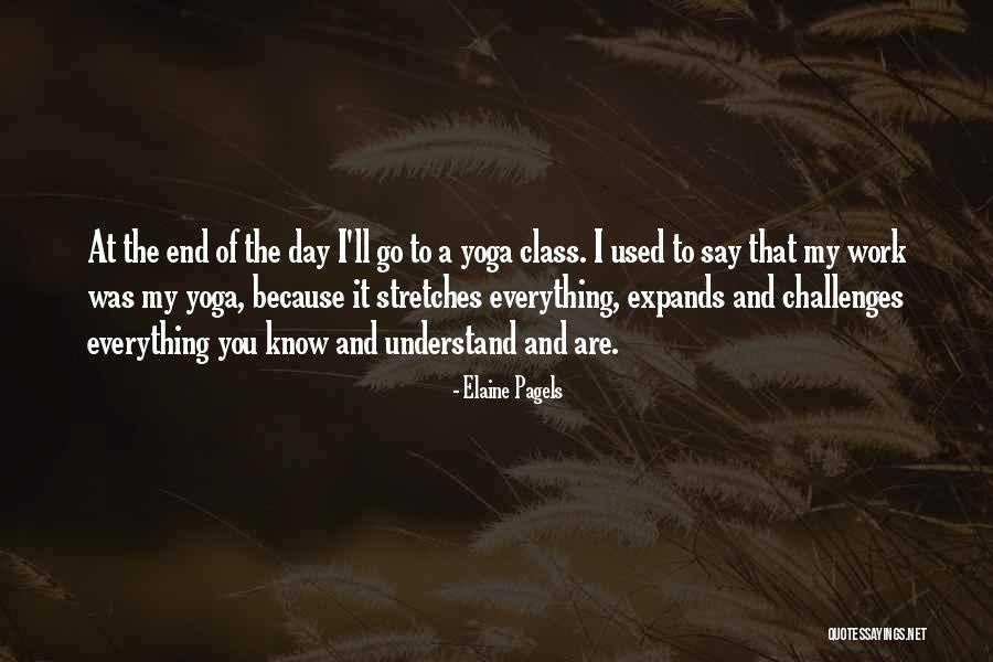 Dilawar Syed Quotes By Elaine Pagels Dilawar Syed Quotes By Elaine Pagels