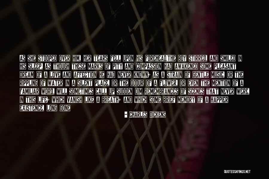 Dilbar Janiya Quotes By Charles Dickens