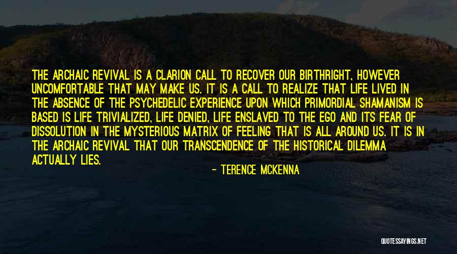 Dilemma Of Life Quotes By Terence McKenna