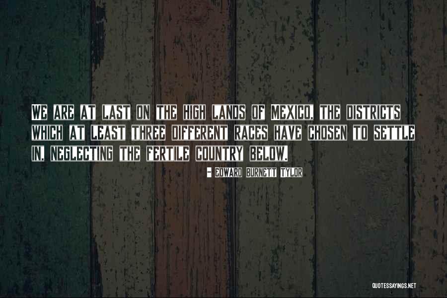 Dilenci Ne Quotes By Edward Burnett Tylor Dilenci Ne Quotes By Edward Burnett Tylor