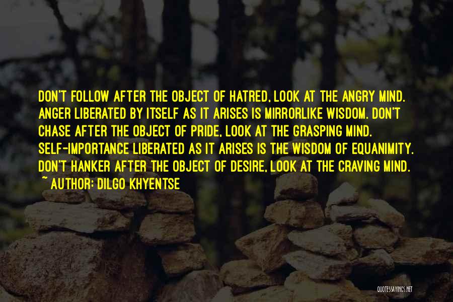 Dilgo Khyentse Quotes 295852