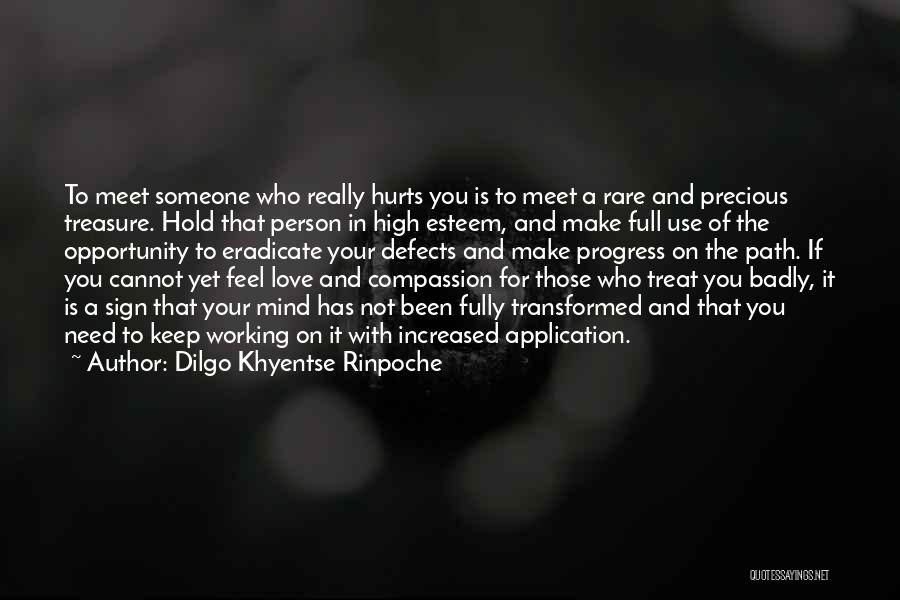 Dilgo Khyentse Rinpoche Quotes 1156742