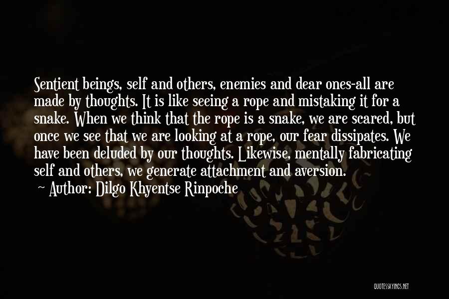 Dilgo Khyentse Rinpoche Quotes 1603124