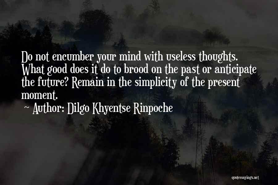 Dilgo Khyentse Rinpoche Quotes 1656914