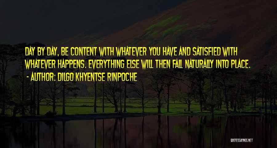 Dilgo Khyentse Rinpoche Quotes 1676433