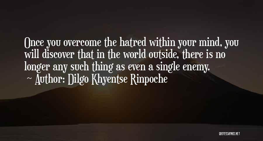 Dilgo Khyentse Rinpoche Quotes 238178