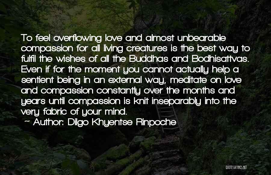 Dilgo Khyentse Rinpoche Quotes 360790