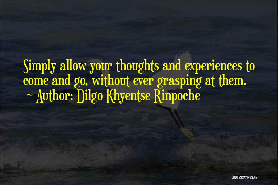 Dilgo Khyentse Rinpoche Quotes 506131