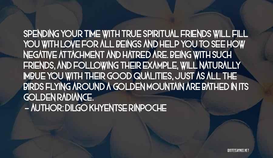 Dilgo Khyentse Rinpoche Quotes 690248