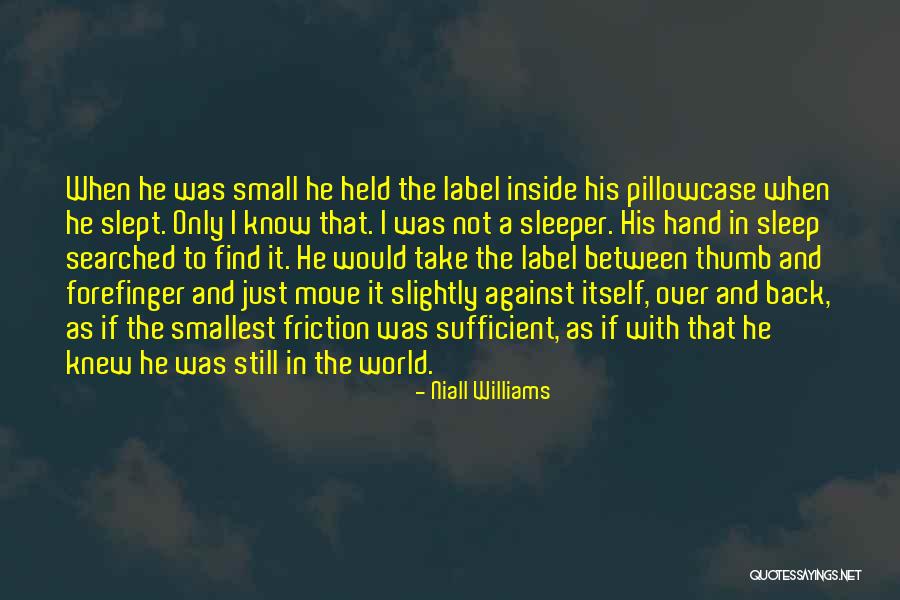 Diliana Florentin Quotes By Niall Williams Diliana Florentin Quotes By Niall Williams