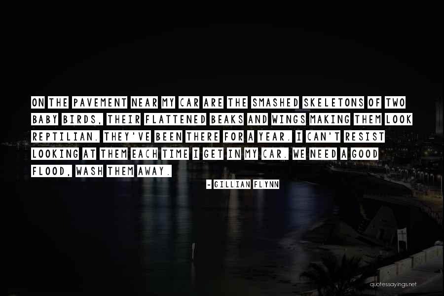 Diligentia Maximum Quotes By Gillian Flynn Diligentia Maximum Quotes By Gillian Flynn