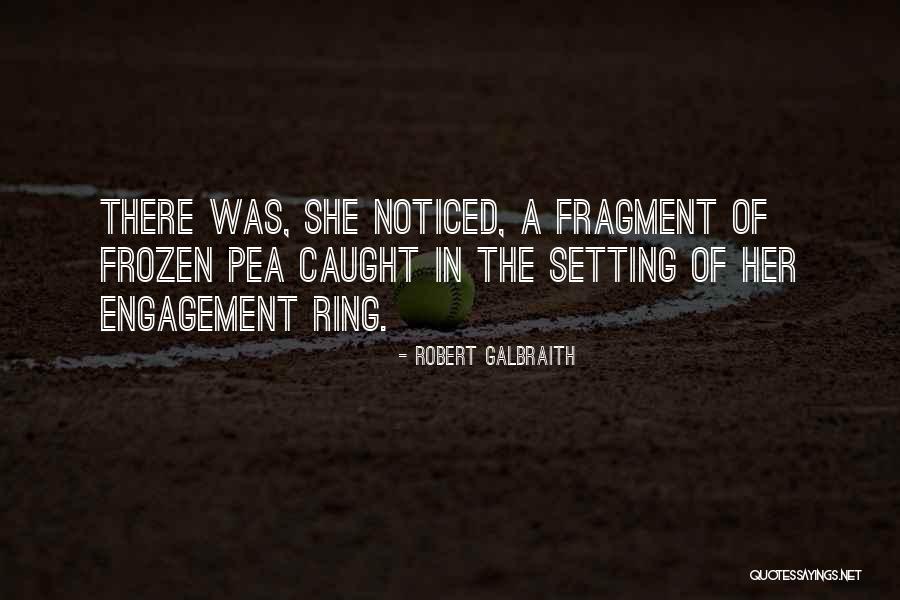 Dilillo Real Estate Quotes By Robert Galbraith Dilillo Real Estate Quotes By Robert Galbraith