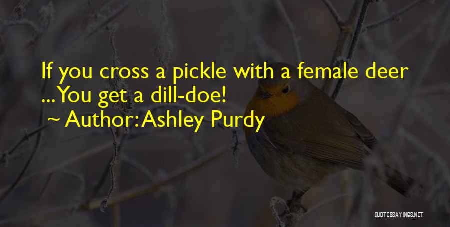 Dill Pickle Quotes By Ashley Purdy